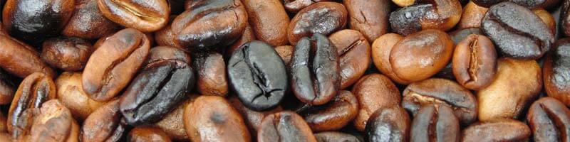 Assorted coffee beans at different levels of roasting